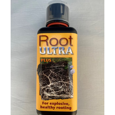 Orchid Focus Root Ultra 300ml